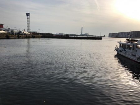 フェリーターミナルでのヘチ釣り釣果（夜は強風渋いながらも小キビレチヌ、明けてアブシン釣果有り）